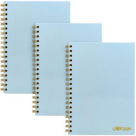   PUKKA PAD Spirálfüzet, B5, vonalas, 80 lap, FSC, PUKKA PAD "Carpe Diem", égszínkék