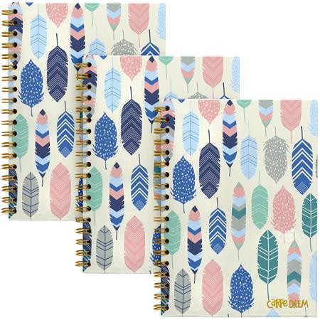 PUKKA PAD Spirálfüzet, B5, vonalas, 80 lap, FSC, PUKKA PAD "Carpe Diem", toll minta