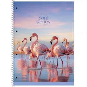  SHKOLYARYK Spirálfüzet, A4+, vonalas, 80 lap, SHKOLYARYK "Soul Stories", vegyes