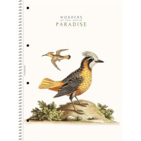   SHKOLYARYK Spirálfüzet, A4, vonalas, 80 lap, SHOLYARYK "College Block Wonders", vegyes