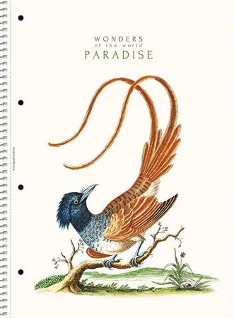 SHKOLYARYK Spirálfüzet, A4, vonalas, 80 lap, SHOLYARYK "College Block Wonders", vegyes