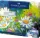 FABER-CASTELL Akrilfesték készlet festővászonnal, tubusos, FABER-CASTELL "Creative Studio", 12 különböző szín