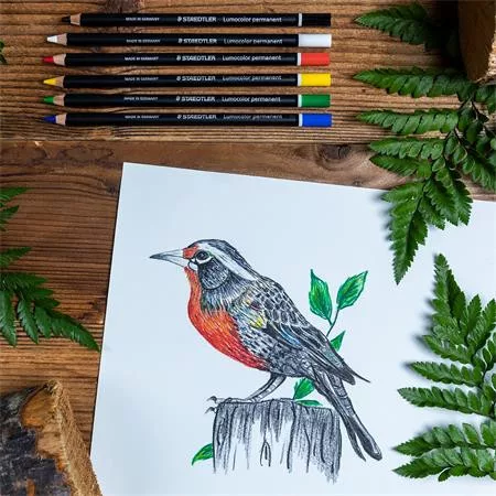 STAEDTLER Jelölőceruza készlet, mindenre író, vízálló, STAEDTLER "Lumocolor® permanent glasochrom 108 20", 6 különböző szín
