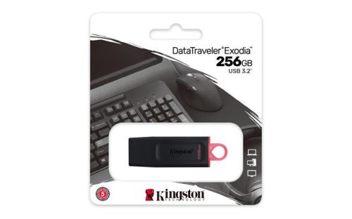 KINGSTON Pendrive, 256GB, USB 3.2, KINGSTON "DataTraveler Exodia", fekete-rózsaszín