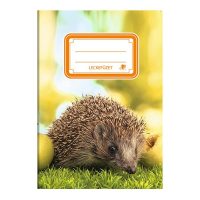 Tűzött leckefüzetek