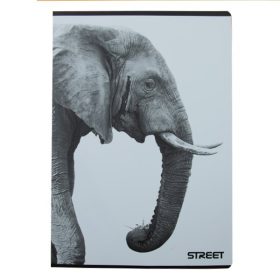 Füzet kockás STREET A/4 54 lapos Safari