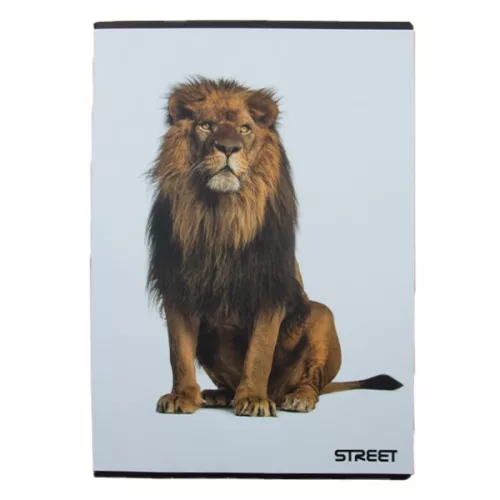 Füzet kockás STREET A/4 54 lapos Safari