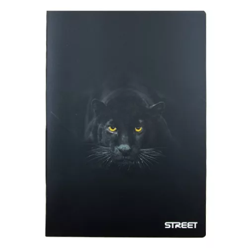 Füzet kockás STREET A/4 54 lapos Safari