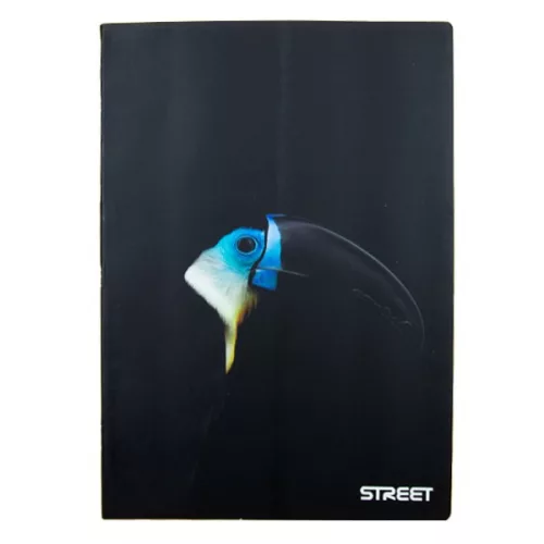 Füzet kockás STREET A/4 54 lapos Safari