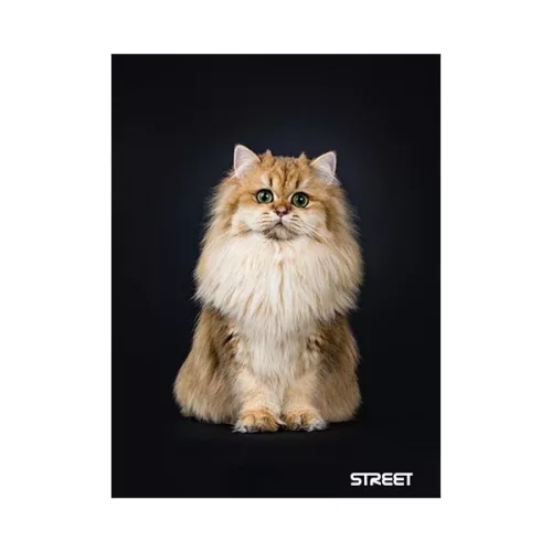 Füzet vonalas STREET A/5 54 lapos Friends margóval