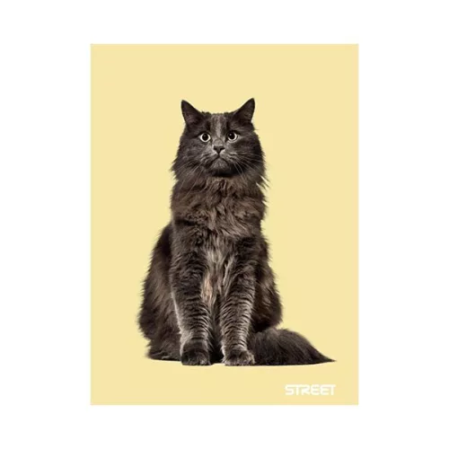 Füzet vonalas STREET A/5 54 lapos Friends margóval