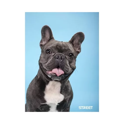 Füzet vonalas STREET A/5 54 lapos Friends margóval