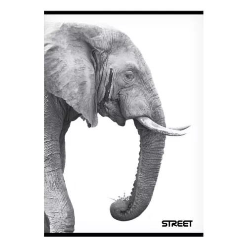 Füzet sima STREET A/4 54 lapos Safari