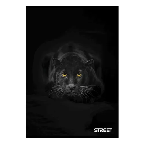 Füzet sima STREET A/4 54 lapos Safari