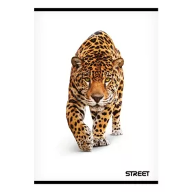 Füzet sima STREET A/5 54 lapos Safari