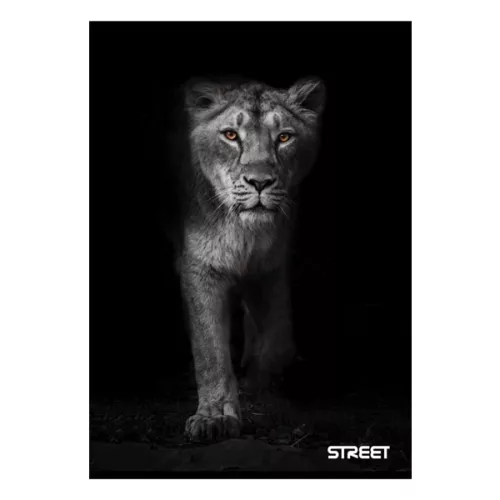 Füzet sima STREET A/5 54 lapos Safari