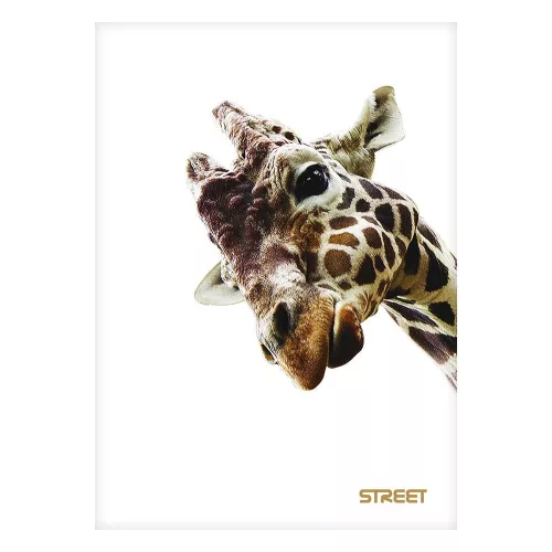 Füzet sima STREET A/5 54 lapos Safari