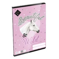 Tűzött vonalas füzetek (3. osztály)