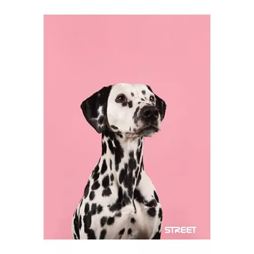 Füzet sima STREET A/4 54 lapos Friends