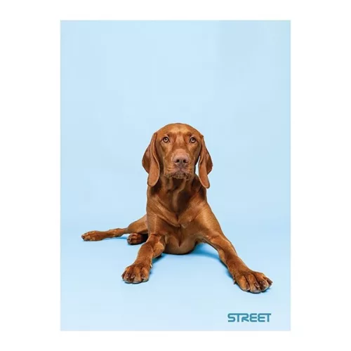 Füzet sima STREET A/4 54 lapos Friends