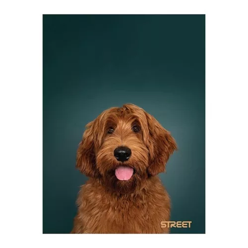 Füzet sima STREET A/4 54 lapos Friends