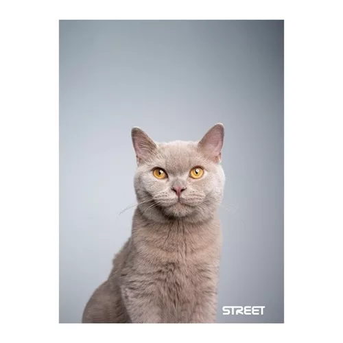 Füzet sima STREET A/4 54 lapos Friends