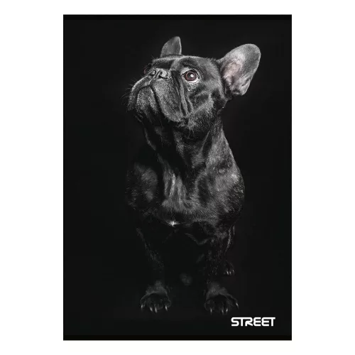 Füzet sima STREET A/4 54 lapos Friends