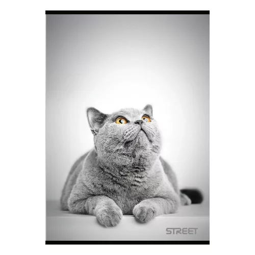 Füzet sima STREET A/4 54 lapos Friends