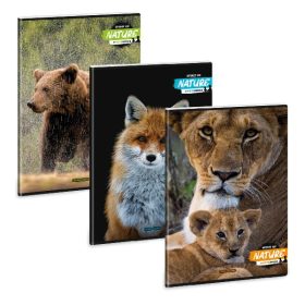   Füzet kockás ARS UNA A/4 40 lapos Extra kapcsos Spirit Of Nature