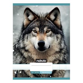 Füzet kockás NEBULO A/4 32 lapos 87-32 Állatok 12 darabos