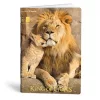 Füzet vonalas LIPAMILL A/4 40 lapos King of lions