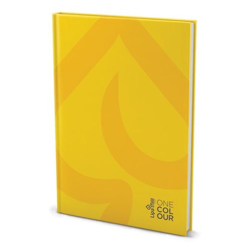 Beírókönyv kockás LIPAMILL A/4 288 lapos Office keményfedeles