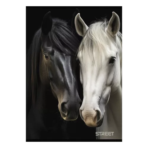 Füzet kockás STREET A/4 54 lapos Horses