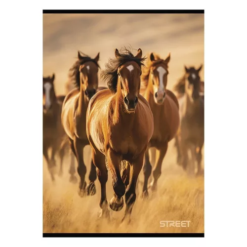 Füzet sima STREET A/4 54 lapos Horses