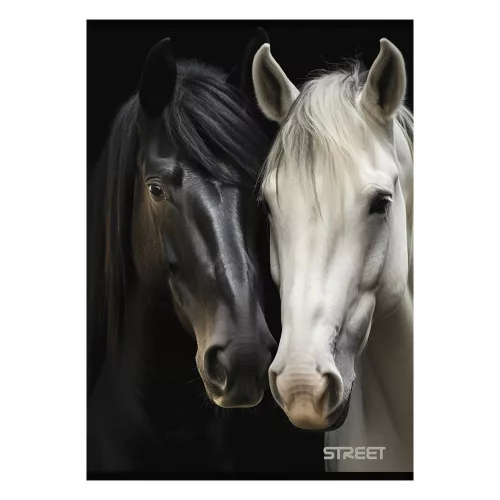 Füzet sima STREET A/4 54 lapos Horses