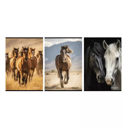 Füzet vonalas STREET A/4 54 lapos Horses margóval