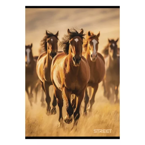 Füzet vonalas STREET A/4 54 lapos Horses margóval