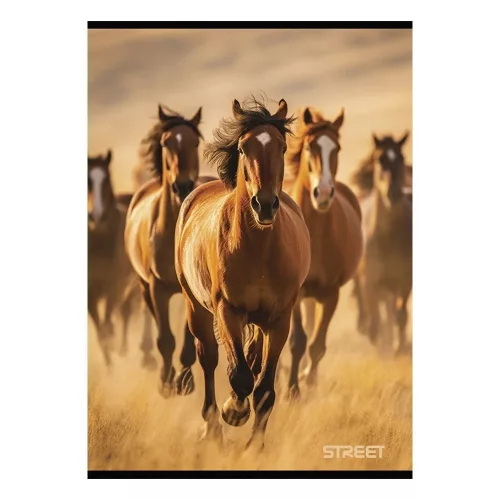 Füzet vonalas STREET A/4 54 lapos Horses margóval