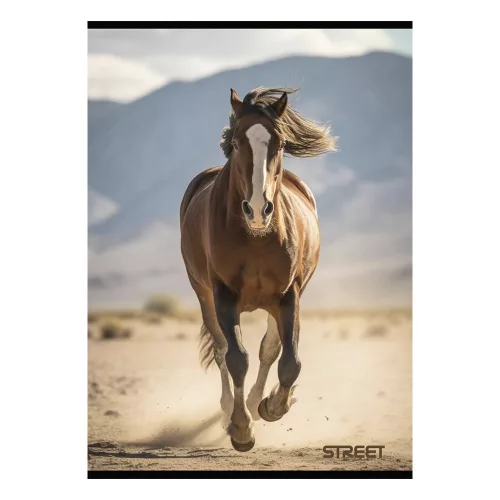 Füzet vonalas STREET A/4 54 lapos Horses margóval