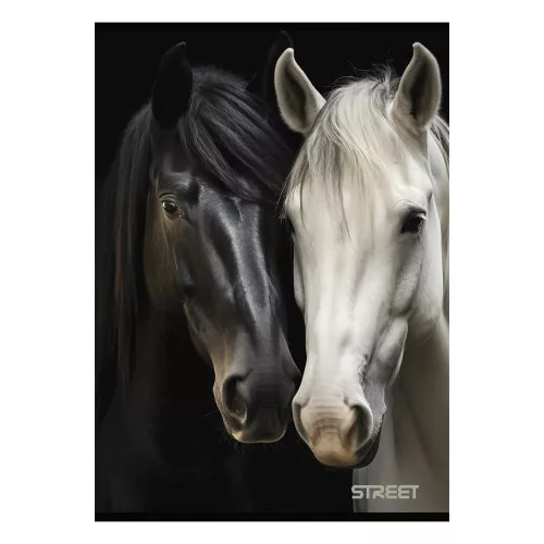 Füzet vonalas STREET A/4 54 lapos Horses margóval