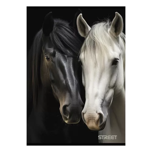 Füzet vonalas STREET A/4 54 lapos Horses margóval