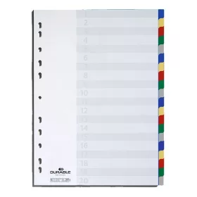 Regiszter DURABLE műanyag A/4 20 színes + index fülek