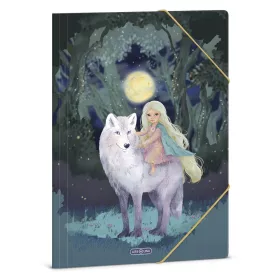 Gumis mappa ARS UNA A/4 Northern Lights