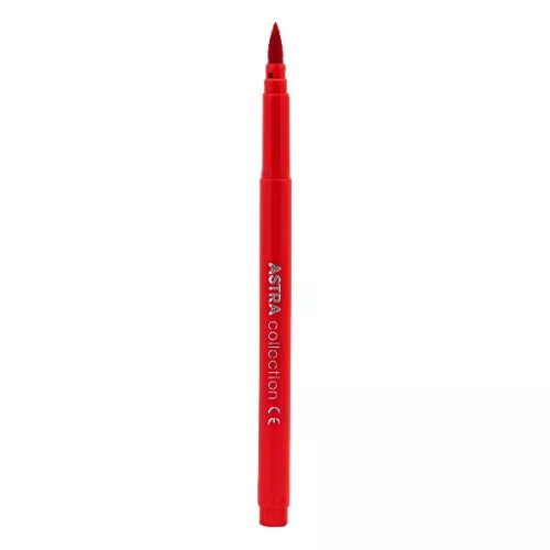Ecsetfilc ASTRA 10 darabos készlet