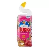 Toalett tisztító gél DUCK forest 750 ml