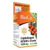 Vitamin BIOCO C-vitamin Csipkebogyós Retard 100 darab