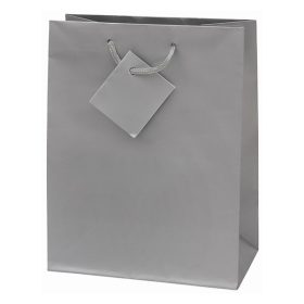   Dísztasak CREATIVE Special Simple M 18x23x10 cm egyszínű ezüst zsinórfüles