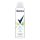 Izzadásgátló deo REXONA blue poppy & apple 150 ml