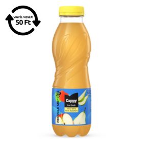   Üdítőital szénsavmentes CAPPY Ice Fruit Alma-Körte 12%-os 0,5L DRS