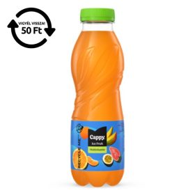   Üdítőital szénsavmentes CAPPY Ice Fruit Multivitamin 12%-os 0,5L DRS